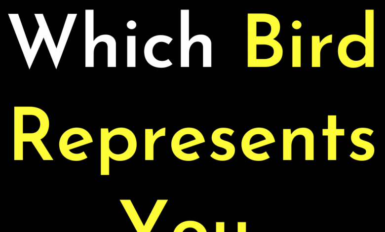 Find Out Which Bird Represents You, Depend On Your Date Of Birth