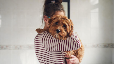 The Dog Breed Paired With Your Zodiac Sign