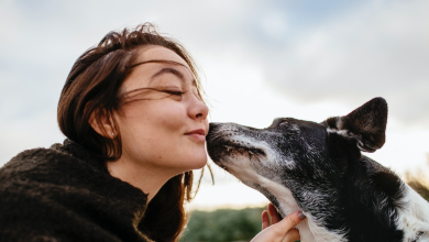 Zodiac Signs of Women Who Love Animals