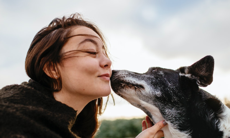 Zodiac Signs of Women Who Love Animals