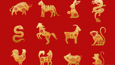 Your October 2024 Chinese Zodiac Horoscope