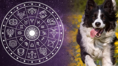 Astro which dog to choose for your zodiac sign