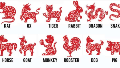 Rat What Does Your Chinese Zodiac Sign Reveal About Your Personality