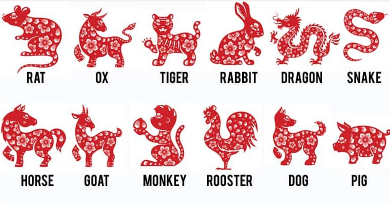 Rat What Does Your Chinese Zodiac Sign Reveal About Your Personality