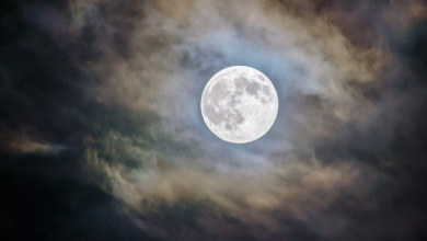 These Signs Will Experience A Major Turning Point At The Full Moon On November 15, 2024