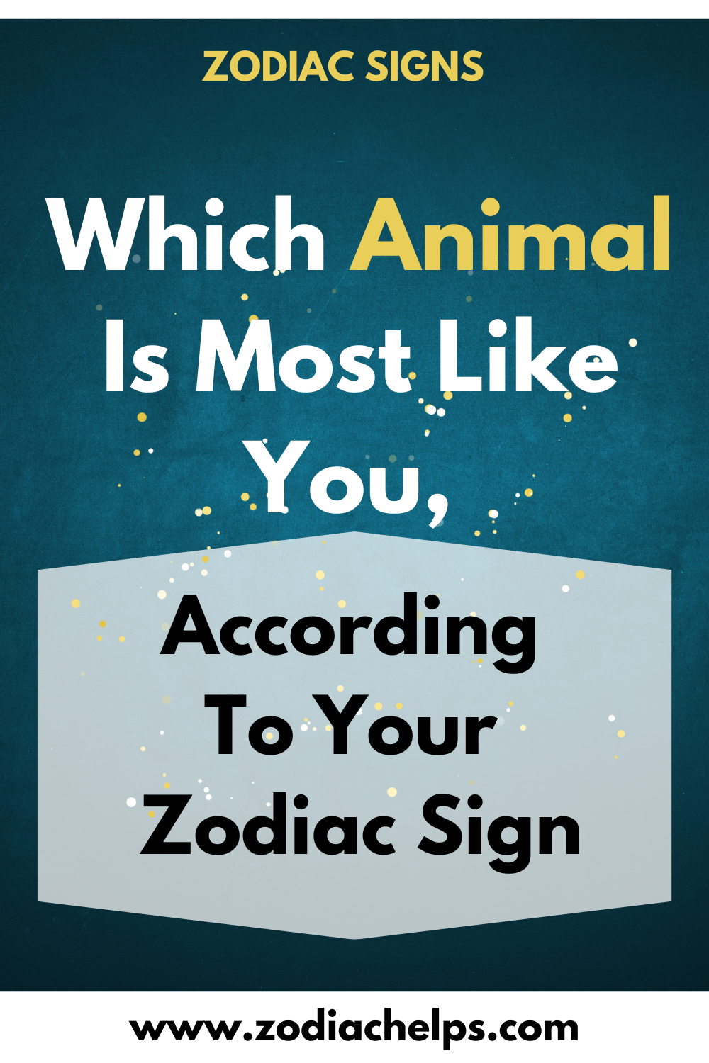 Which Animal Is Most Like You, According To Your Zodiac Sign