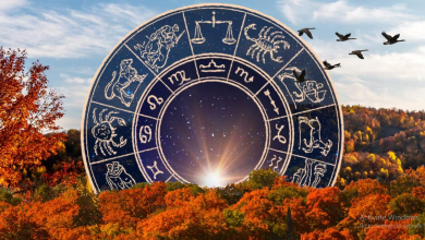 The 1 Zodiac Sign Who Needs To Protect Their Energy In October 2023