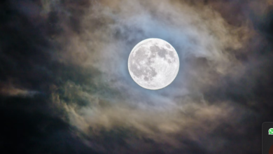 New Moon On October 2, : These Signs Start A Happy Time