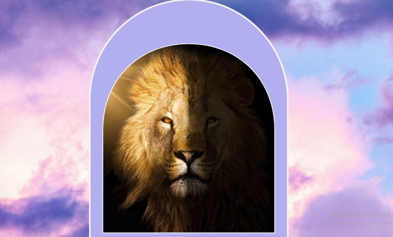 What Each Zodiac Can Expect From The Lion S Gate Portal 2024 Zodiac Signs   What Each Zodiac Can Expect From The Lions Gate Portal 2024 1 780x470 