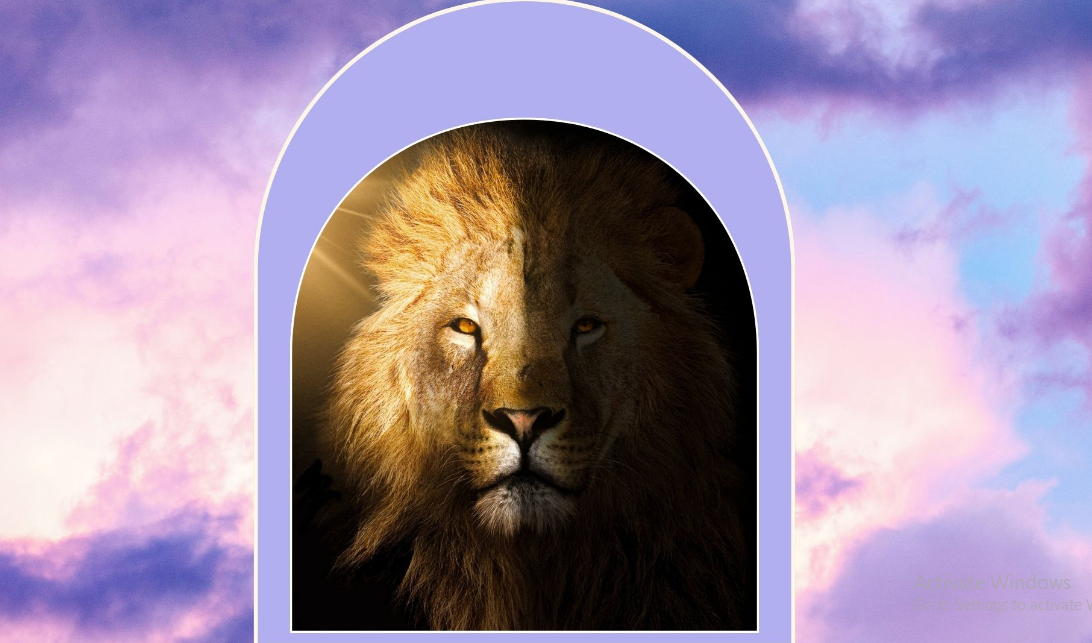 What Each Zodiac Can Expect From The Lion’s Gate Portal 2024 zodiac Signs