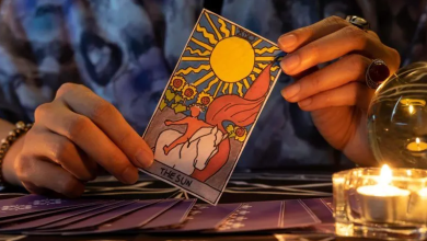 A Tarot Reader Predicts What Each Zodiac Should Expect Before November 21