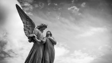 What Your Guardian Angel Wants You To Know On 118, Based On Your Zodiac + Tarot