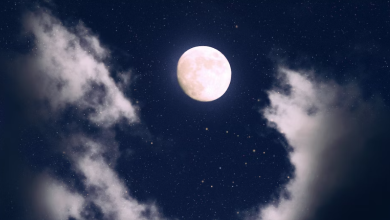 Lucky Phase From January 13, 2025: Which Signs Are Influenced By The Full Moon