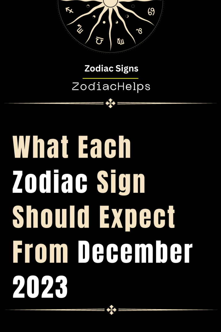 What Each Zodiac Sign Should Expect From December 2023 | zodiac Signs