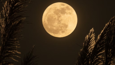 Happiness In The Full Moon: 3 Signs Will Experience A Change From January 25, 2024