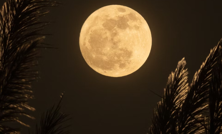 Happiness In The Full Moon: 3 Signs Will Experience A Change From January 25, 2024